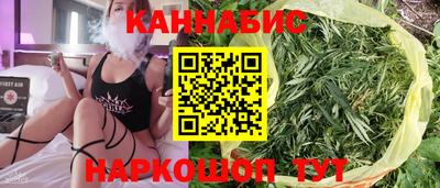 дживик Камышлов