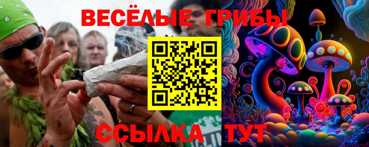 Псилоцибиновые грибы ЛСД Краснознаменск